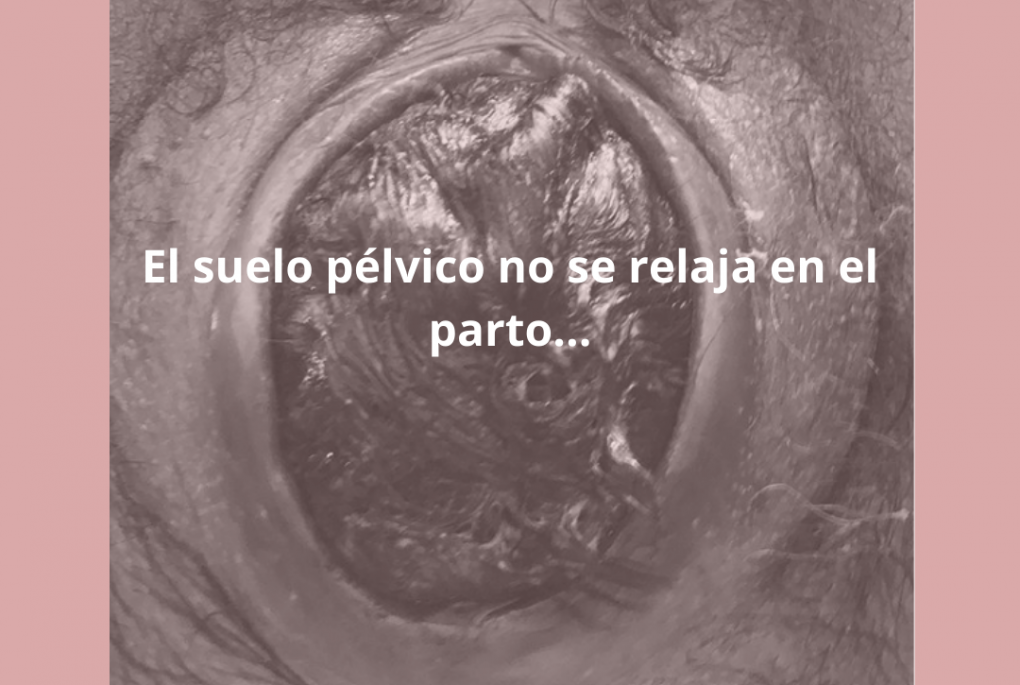 suelo pelvico parto