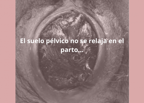 suelo pelvico parto
